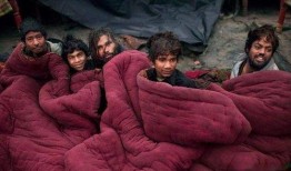 网红夫妇在印度视频吃瓜,趣味横生体验引网友热议